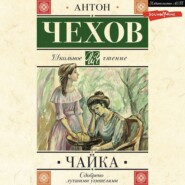 бесплатно читать книгу Чайка автора Антон Чехов