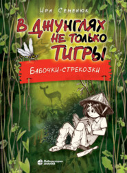 бесплатно читать книгу В джунглях не только тигры. Бабочки-стрекозки автора Ира Семенюк