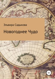 бесплатно читать книгу Новогоднее чудо автора Эльвира Садыкова