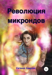 бесплатно читать книгу Революция микрондов автора Евгения Хамуляк