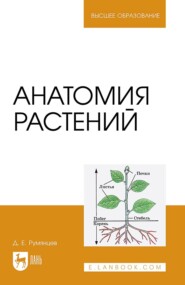 бесплатно читать книгу Анатомия растений. Учебное пособие для вузов автора Денис Румянцев