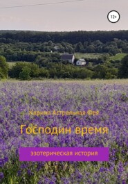 бесплатно читать книгу Господин время автора Карина Астральная Фея