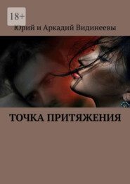 бесплатно читать книгу Точка притяжения автора  Юрий и Аркадий Видинеевы
