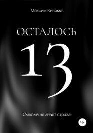 бесплатно читать книгу Осталось 13 автора Максим Кизима