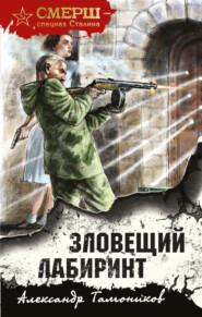 бесплатно читать книгу Зловещий лабиринт автора Александр Тамоников