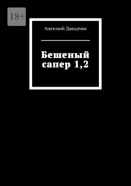 бесплатно читать книгу Бешеный сапер 1,2 автора Анатолий Давыдчик