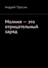 бесплатно читать книгу Молния – это отрицательный заряд автора Андрей Просин