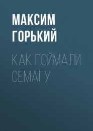 бесплатно читать книгу Как поймали Семагу автора Максим Горький