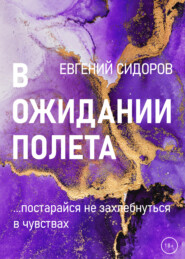 бесплатно читать книгу В ожидании полета автора Евгений Сидоров
