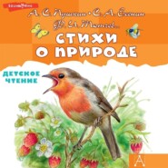 бесплатно читать книгу Стихи о природе автора Федор Тютчев