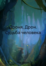 бесплатно читать книгу Дрон, судьба человека автора Ольга Толмачева