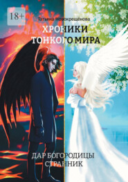 бесплатно читать книгу Хроники тонкого мира. Дар Богородицы. Странник автора Татьяна Новокрещёнова