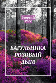 бесплатно читать книгу Багульника розовый дым автора Георгий Росс