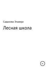 бесплатно читать книгу Лесная школа автора Эльвира Садыкова