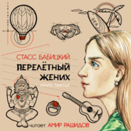 бесплатно читать книгу Перелётный жених. Книга третья автора Стасс Бабицкий