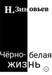 бесплатно читать книгу Черно-белая жизнь автора  Никита Зиновьев