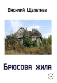 бесплатно читать книгу Брюсова жила автора Василий Щепетнев
