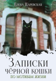 бесплатно читать книгу Записки черной кошки. По мотивам жизни автора Юлия Василевская