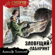 бесплатно читать книгу Зловещий лабиринт автора Александр Тамоников