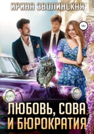 бесплатно читать книгу Любовь, сова и бюрократия автора Ирина Зволинская
