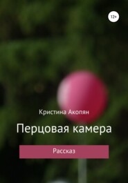 бесплатно читать книгу Перцовая камера автора Кристина Акопян