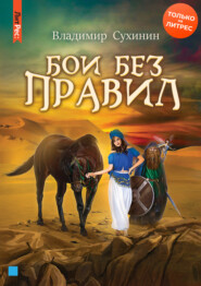 бесплатно читать книгу Бои без правил автора Владимир Сухинин