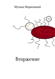 бесплатно читать книгу Вторжение автора Мулька Морковный