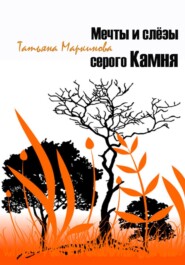 бесплатно читать книгу Мечты и слёзы серого Камня автора Татьяна Маркинова