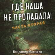 бесплатно читать книгу Где наша не пропадала. Часть вторая автора Владимир Малыгин