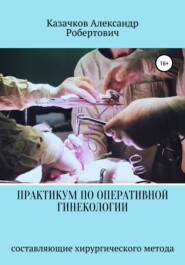 бесплатно читать книгу Практикум по оперативной гинекологии. Составляющие хирургического метода автора Александр Казачков