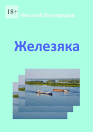 бесплатно читать книгу Железяка автора Николай Виноградов