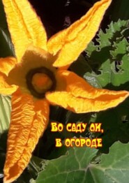 бесплатно читать книгу Во саду ли, в огороде автора Н. Козлова