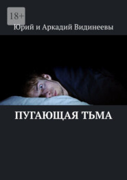 бесплатно читать книгу Пугающая тьма автора  Юрий и Аркадий Видинеевы