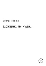 бесплатно читать книгу Дождик, ты куда… автора Сергей Иванов