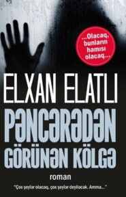 бесплатно читать книгу PƏNCƏRƏDƏ GÖRÜNƏN KÖLGƏ автора Elxan Elatlı
