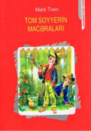 бесплатно читать книгу TOM SOYYERİN MACƏRALARI автора Марк Твен