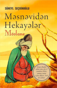 бесплатно читать книгу MƏSNƏVİDƏN HEKAYƏLƏR автора Süheyl Seçkinoğlu