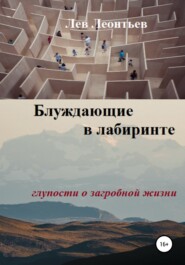 бесплатно читать книгу Блуждающие в лабиринте автора Лев Леонтьев