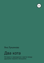 бесплатно читать книгу Два кота автора Яна Лукьянова