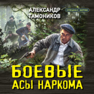 бесплатно читать книгу Боевые асы наркома автора Александр Тамоников