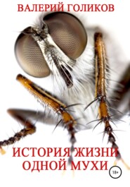 бесплатно читать книгу История жизни одной Мухи автора Валерий Голиков
