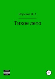 бесплатно читать книгу Тихое лето автора Денис Игумнов
