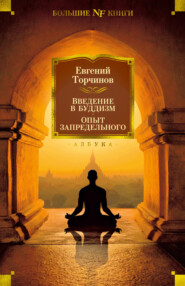 бесплатно читать книгу Введение в буддизм. Опыт запредельного автора Евгений Торчинов