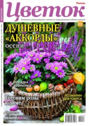 бесплатно читать книгу Цветок 19-2022 автора  Редакция журнала Цветок