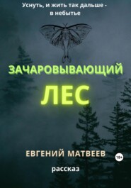 бесплатно читать книгу Зачаровывающий лес автора Евгений Матвеев