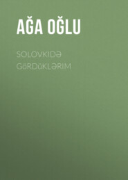 бесплатно читать книгу Solovkidə gördüklərim автора  Ağa oğlu