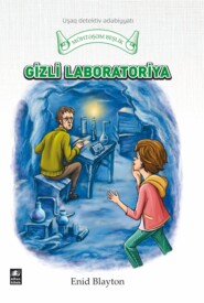 бесплатно читать книгу Gizli laborotoriya автора Энид Блайтон