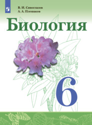 бесплатно читать книгу Биология. 6 класс автора Андрей Плешаков