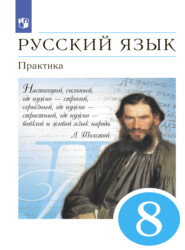 бесплатно читать книгу Русский язык. Практика. 8 класс автора Ангелина Еремеева