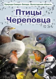 бесплатно читать книгу Птицы Череповца автора М. Бабушкин